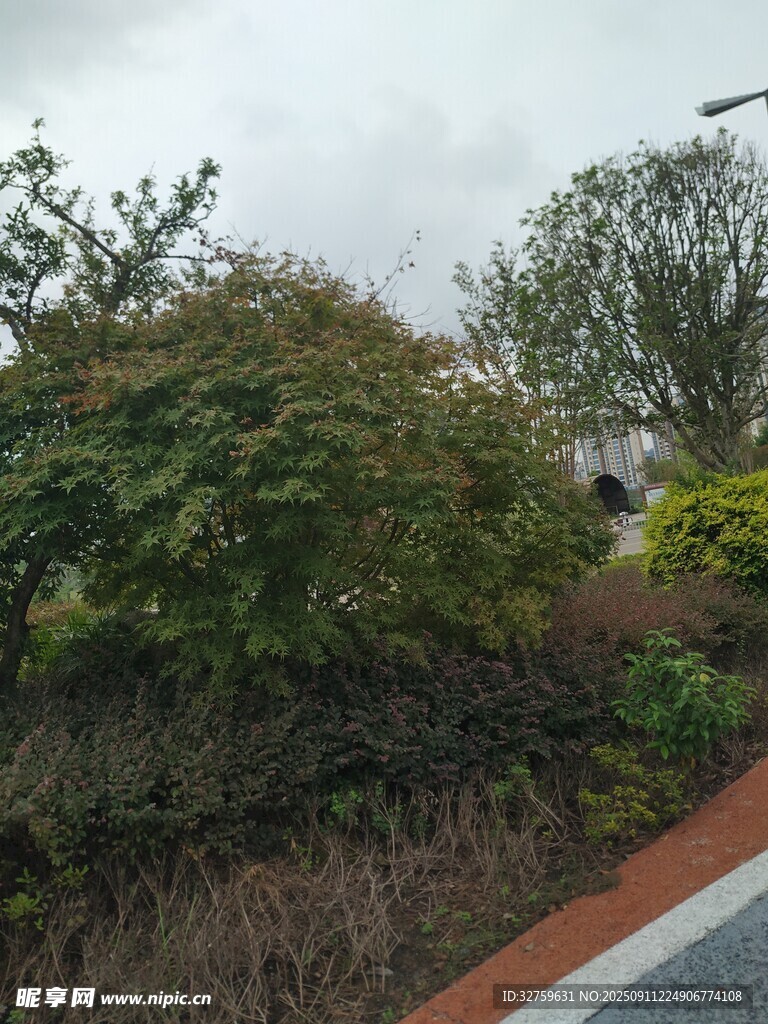 戶外綠植景觀一角