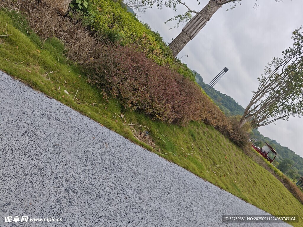 蜿蜒公路旁的綠植景觀