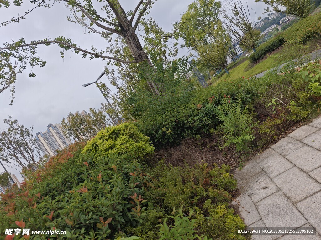 城市園林景觀中的綠植小徑