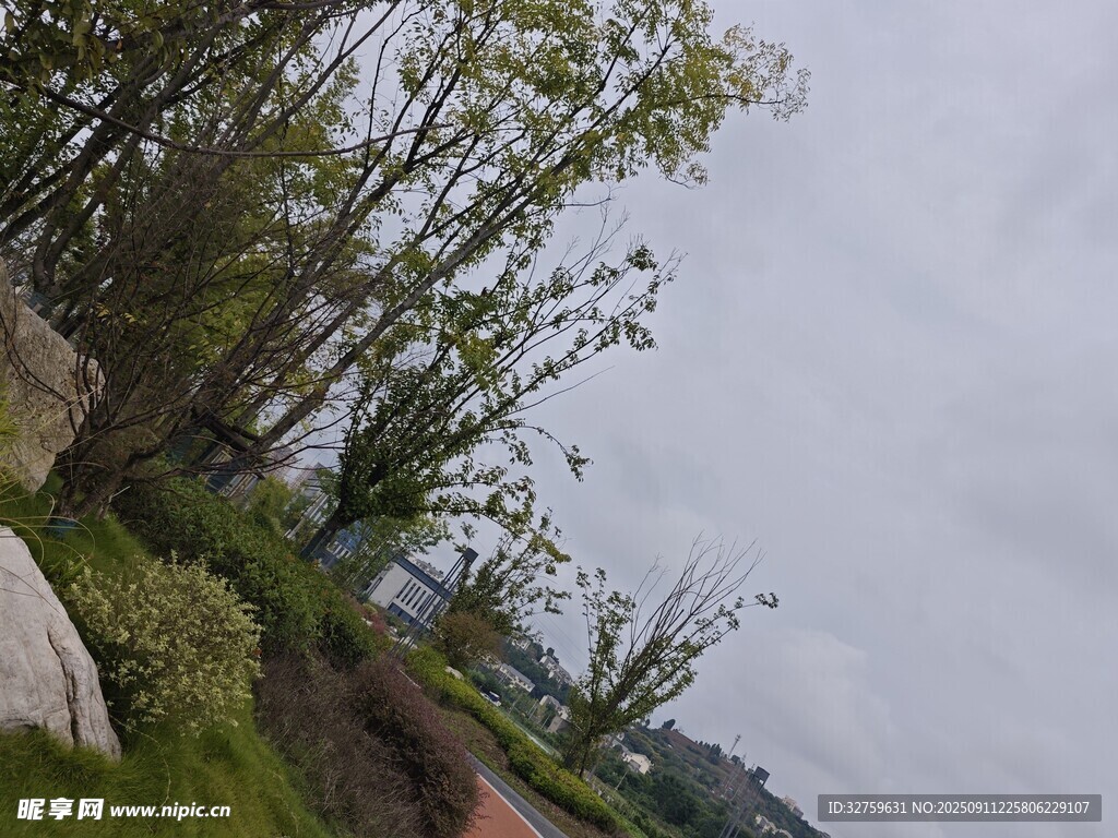 戶外竹林旁的清新景致