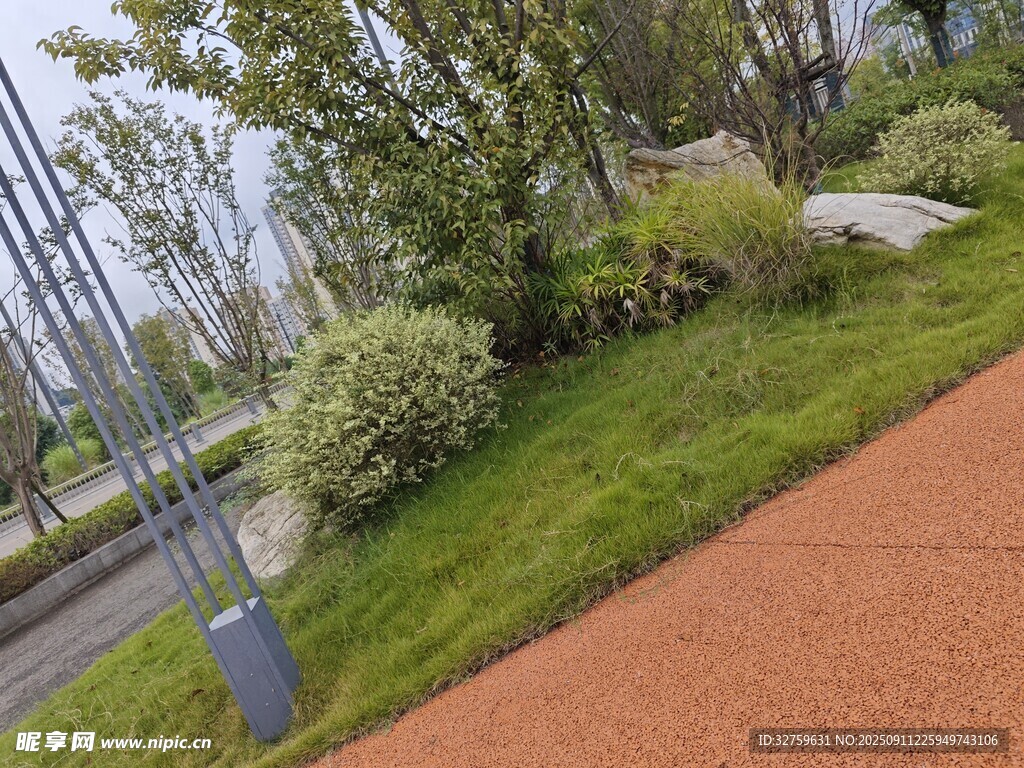 城市路邊綠意盎然景觀