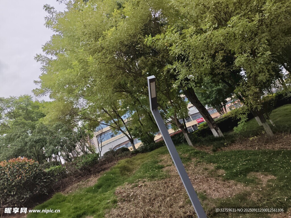 公園中的路燈與綠樹景觀