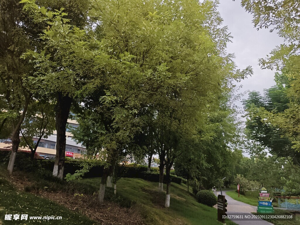 城市林蔭道風(fēng)景