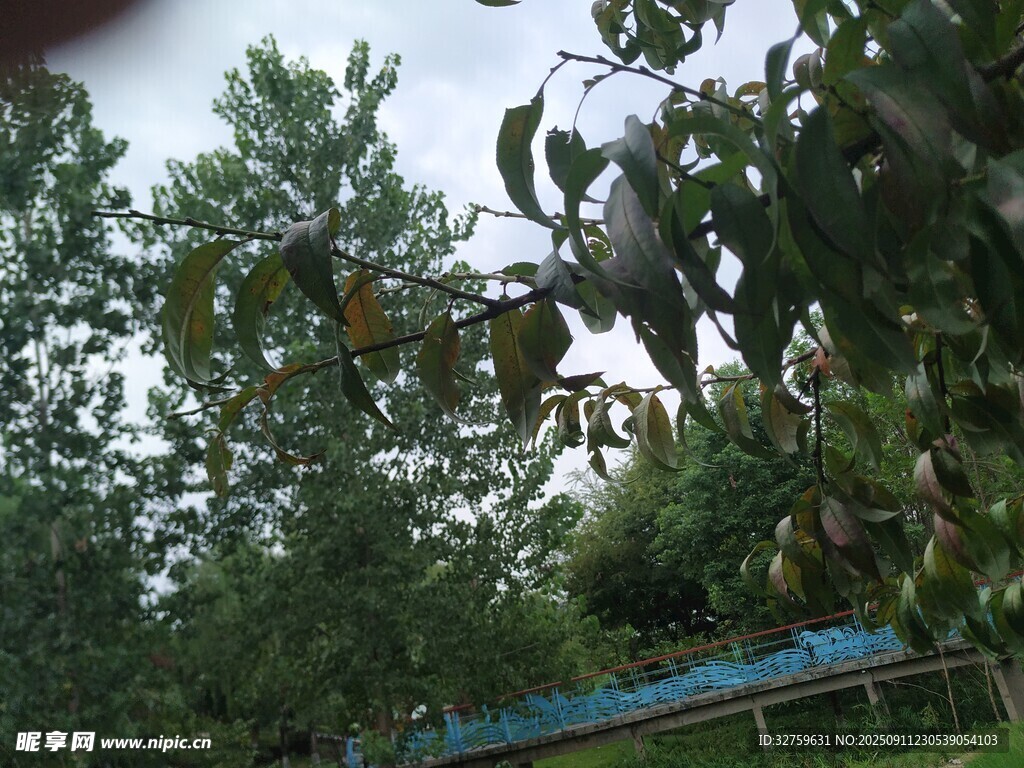 林間藍(lán)頂小屋
