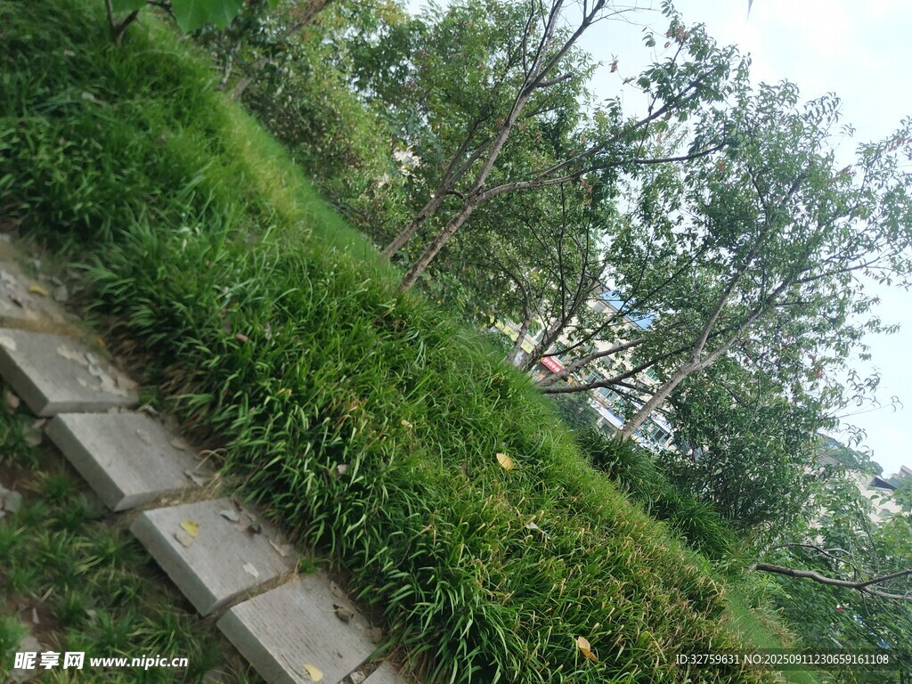 山坡綠植與石板路景觀