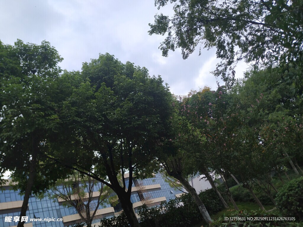 湖邊綠樹環(huán)繞的靜謐景致