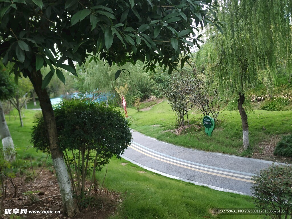 公園中的綠意小徑
