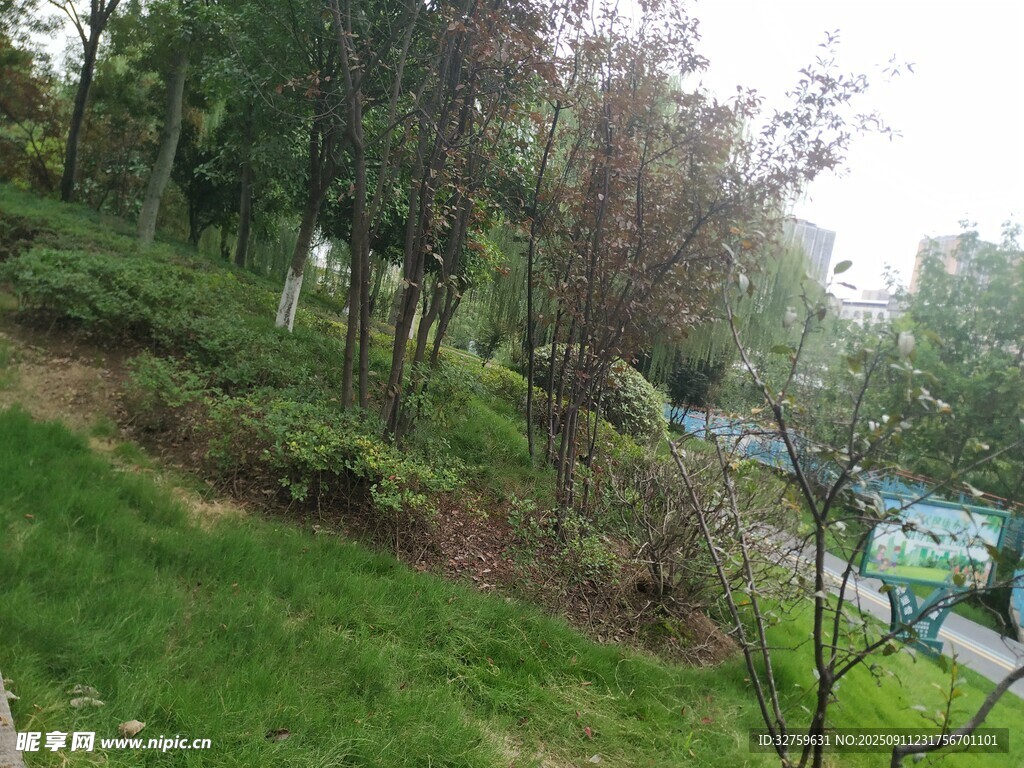 綠意盎然的戶外園林景觀