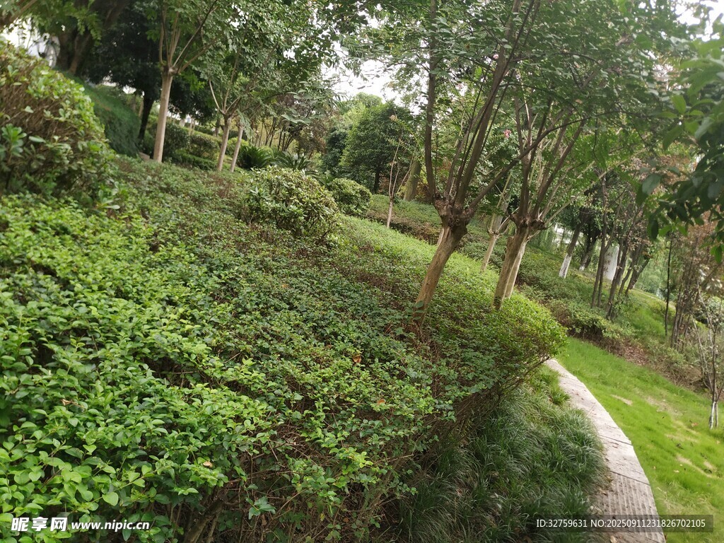 綠意盎然的公園景觀小徑
