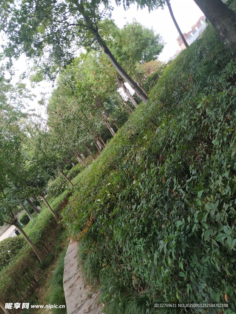 林間小徑