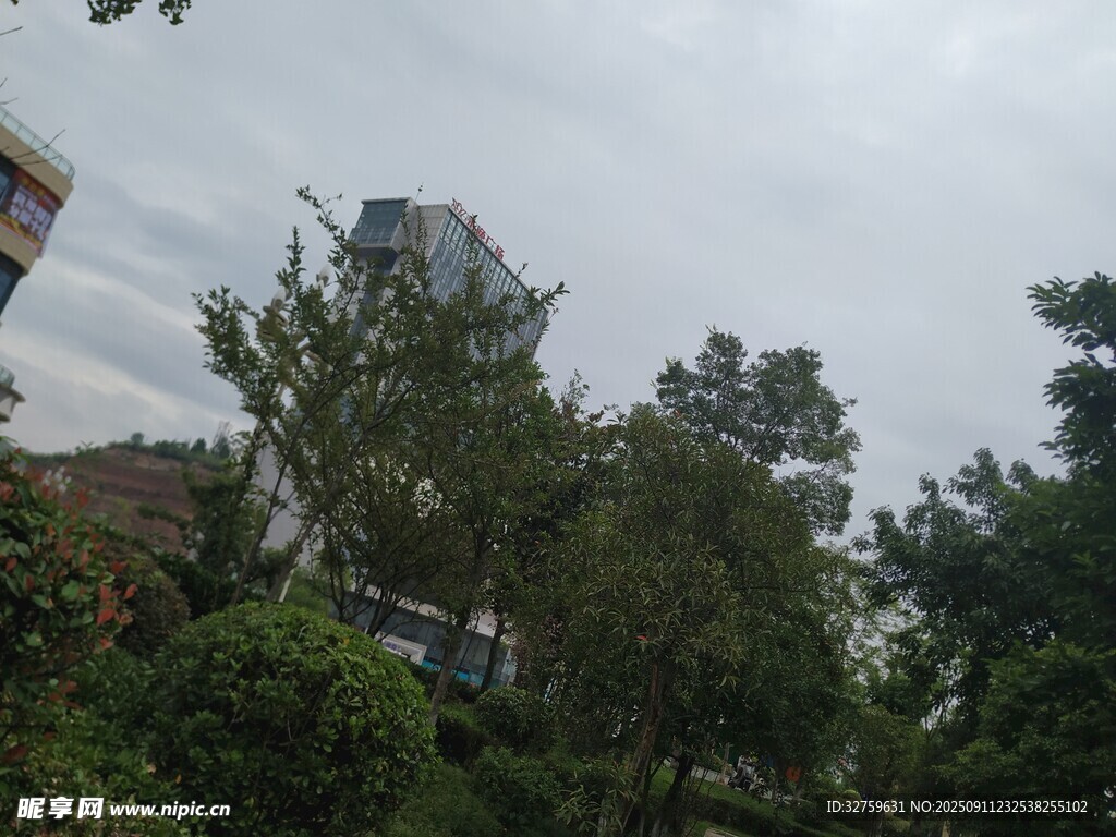 戶外綠植與建筑景觀