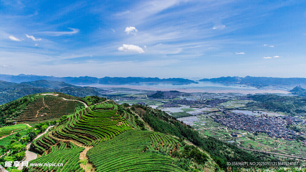 福州網(wǎng)紅長(zhǎng)龍茶山