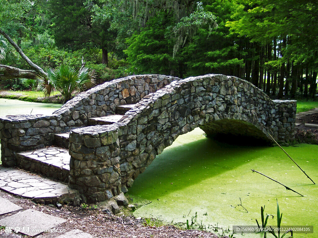 林間石拱橋橫跨碧綠池水
