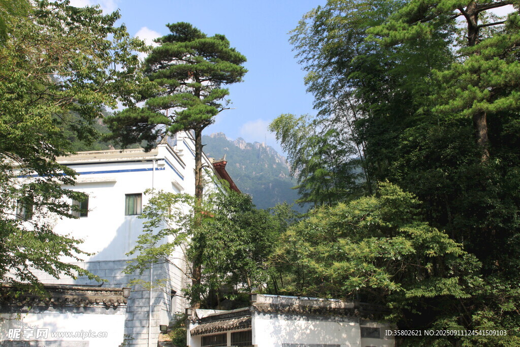 黃山山林間的白色建筑