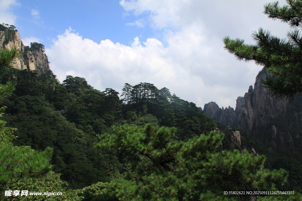 黃山秀麗山巒間的蔥郁景致