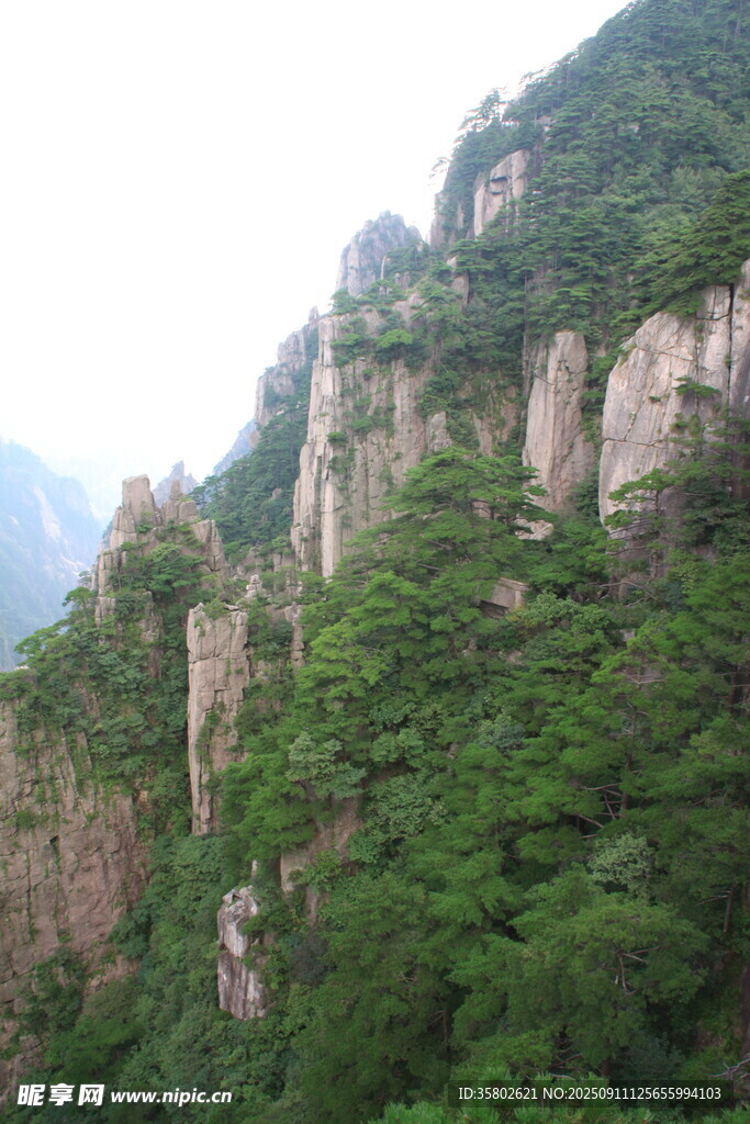 黃山峻峭山巒覆滿翠綠植被