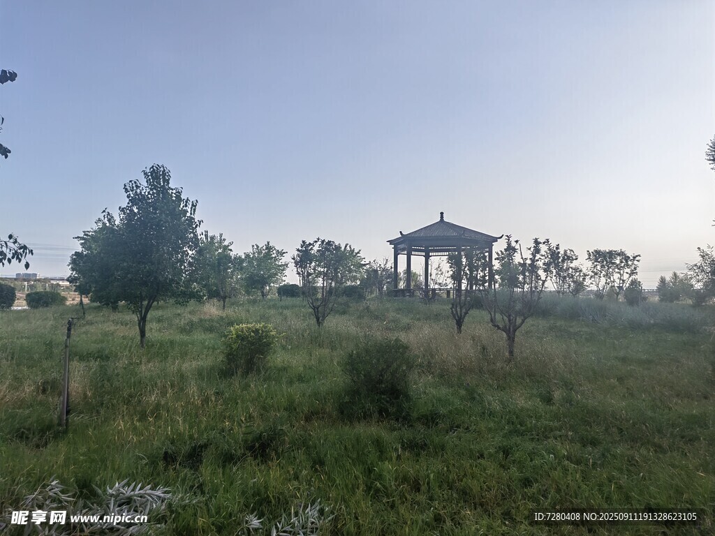 郊外草地中的涼亭景觀