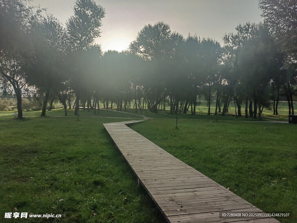 林間木徑晨光中的靜謐景