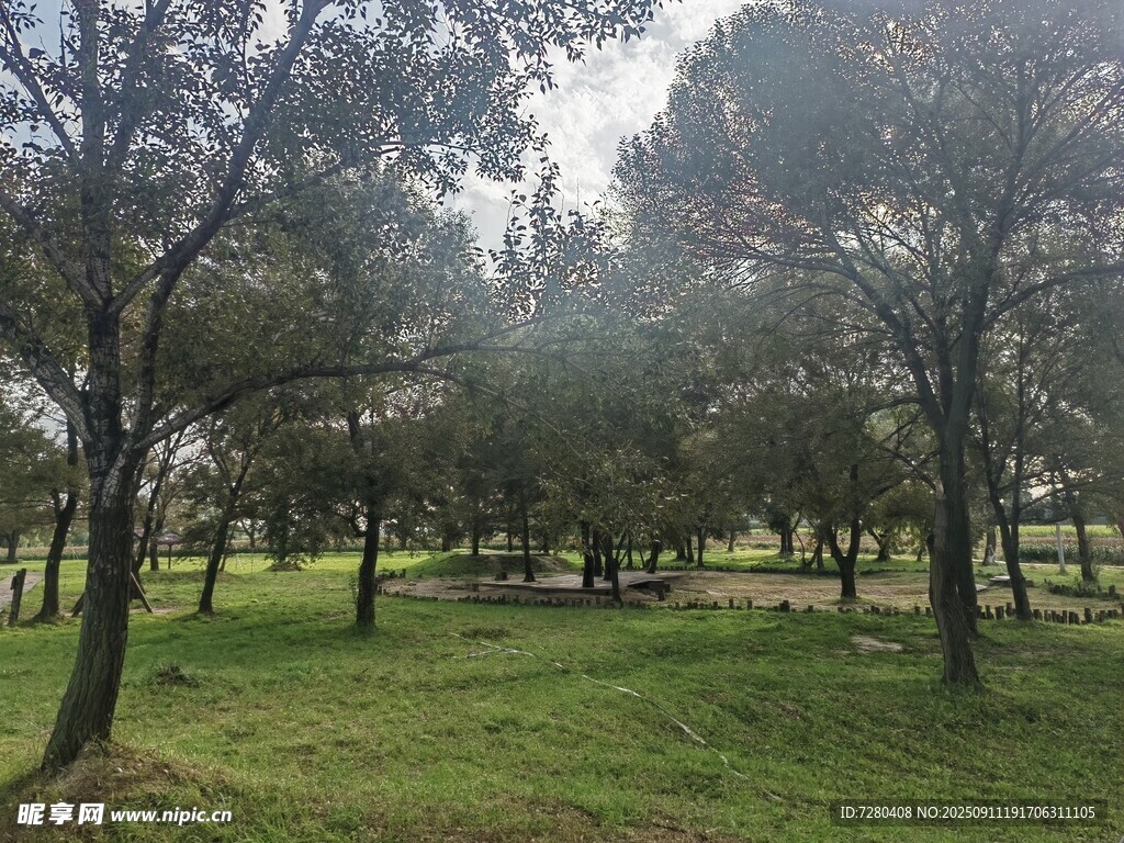 林間草地野餐場(chǎng)景