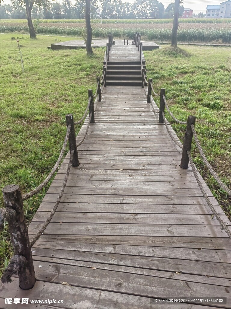 林間木棧道自然好風光