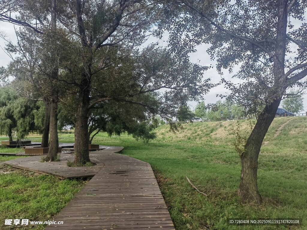 林間木棧道靜謐自然景