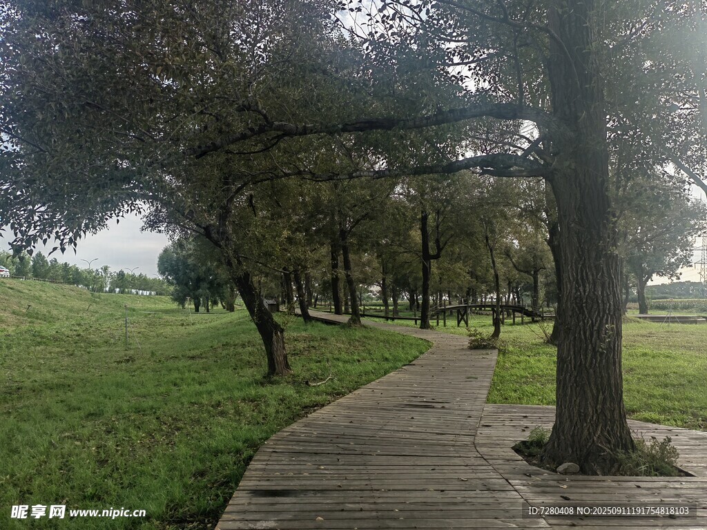 林間木棧道自然好風(fēng)光