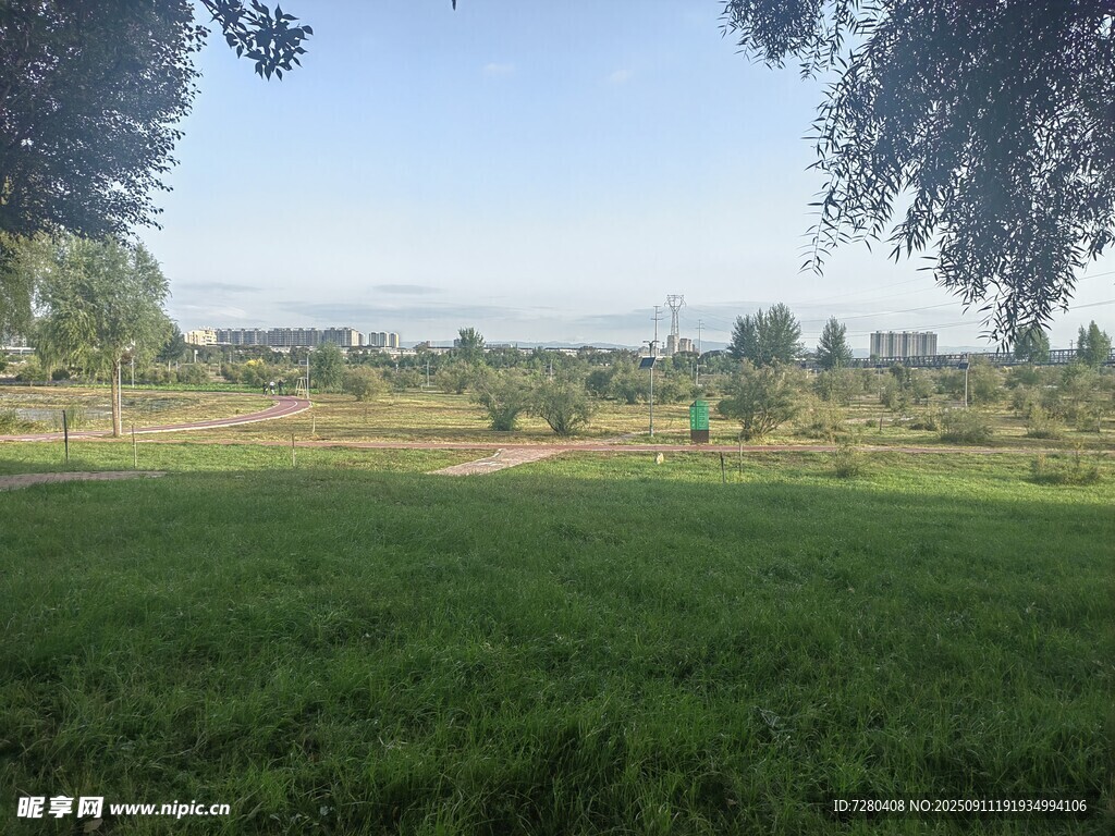 綠意盎然的開闊草地景觀