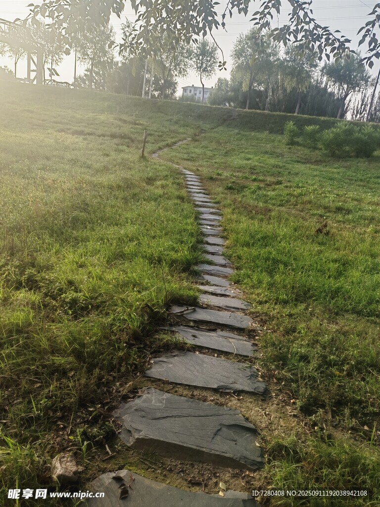 晨光中蜿蜒的石板小徑