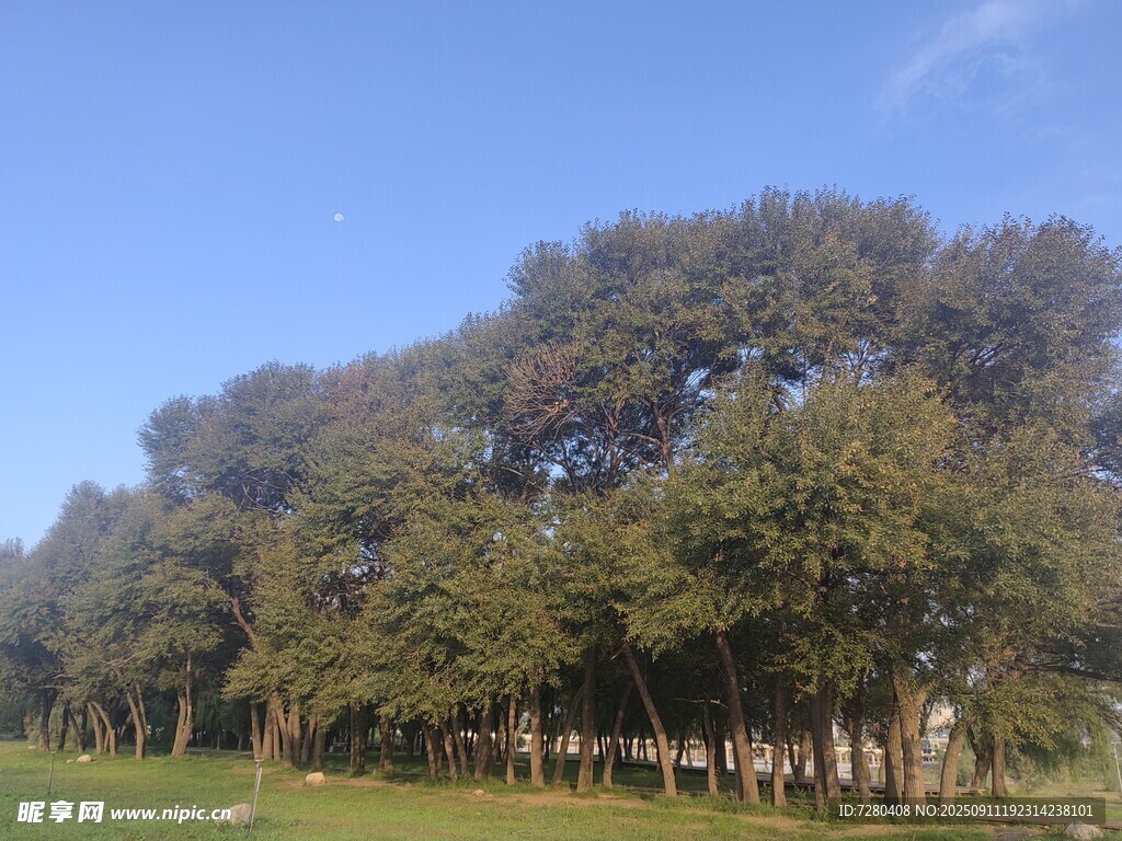藍(lán)天綠樹的戶外風(fēng)景