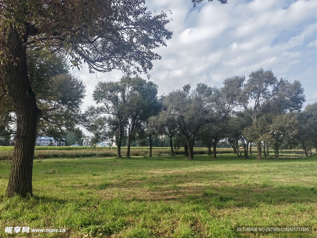 戶外草地樹林風(fēng)景圖