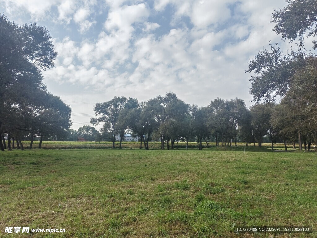 開闊草地與樹木風(fēng)景