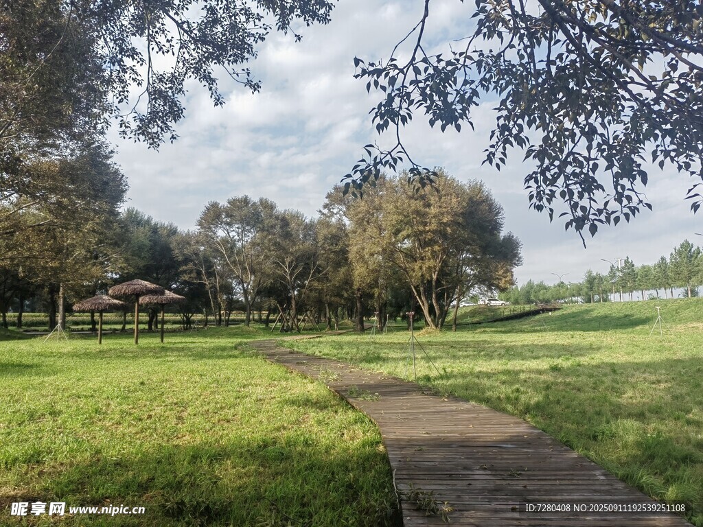 林間小徑綠意盎然的公園景