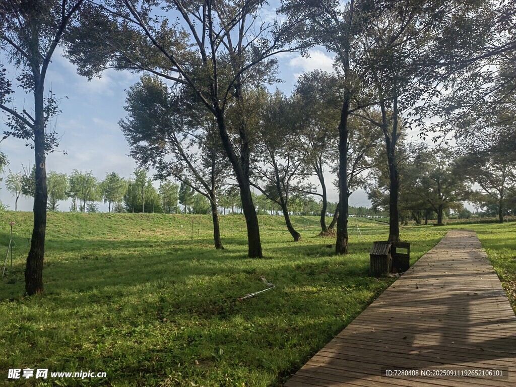 林間小徑綠意盎然的景致