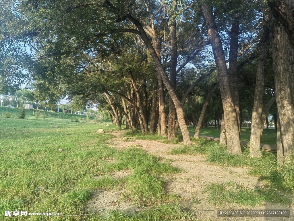 林間小徑綠意盎然的風(fēng)景