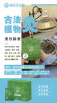 植物灸 草本敷灸 養(yǎng)生調(diào)理 