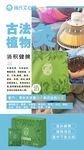 古法植物草本敷灸 調(diào)理身體 