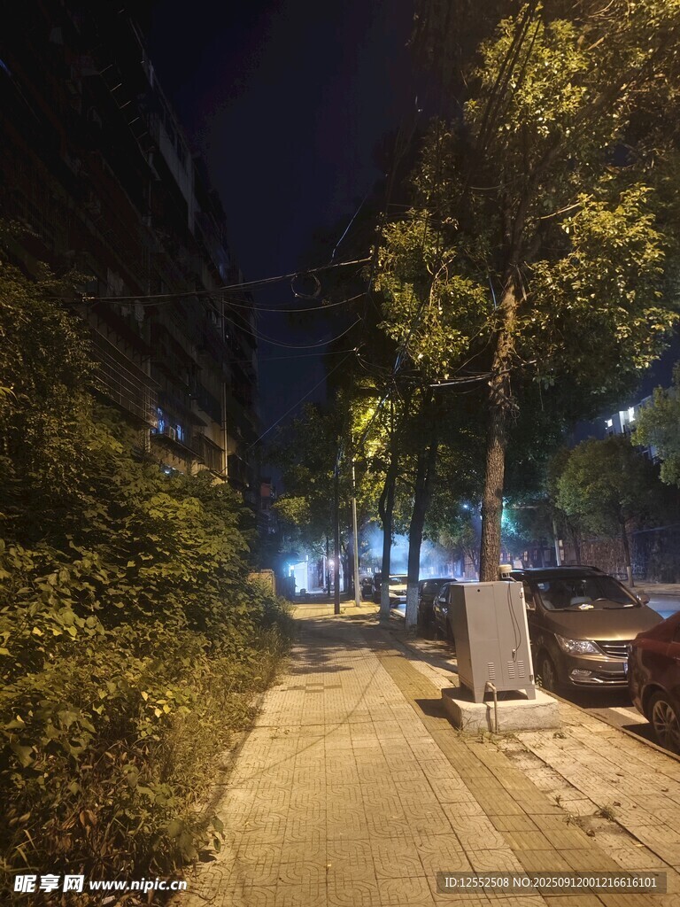 夜晚靜謐的街道景象
