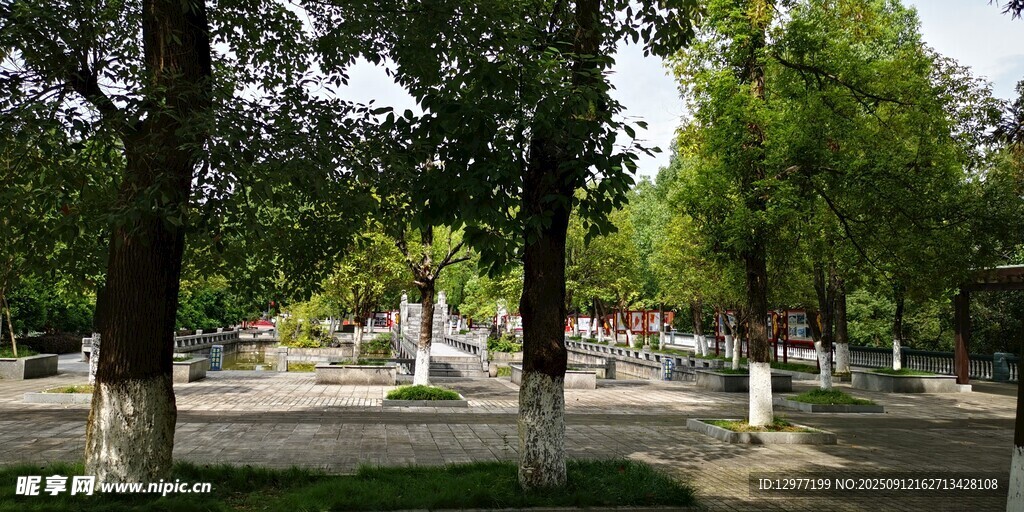 公園林蔭下的休閑場景