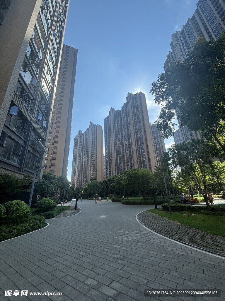 城市住宅區(qū)的林蔭小道