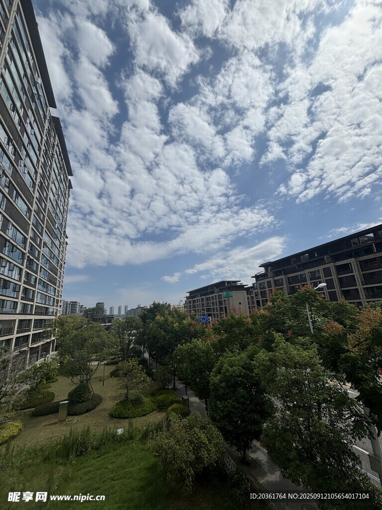 城市中藍(lán)天白云下的綠植景觀