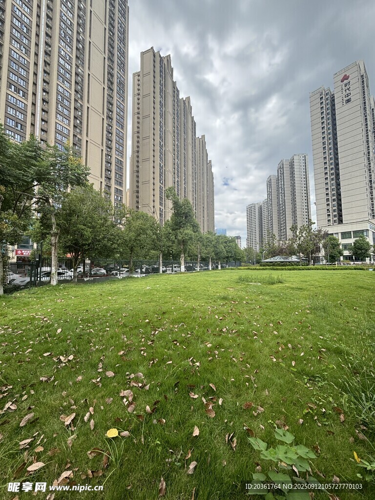 城市中開(kāi)闊的綠地景觀