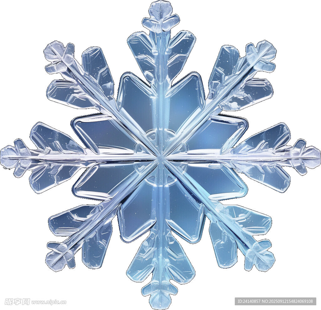 藍色精致雪花圖案