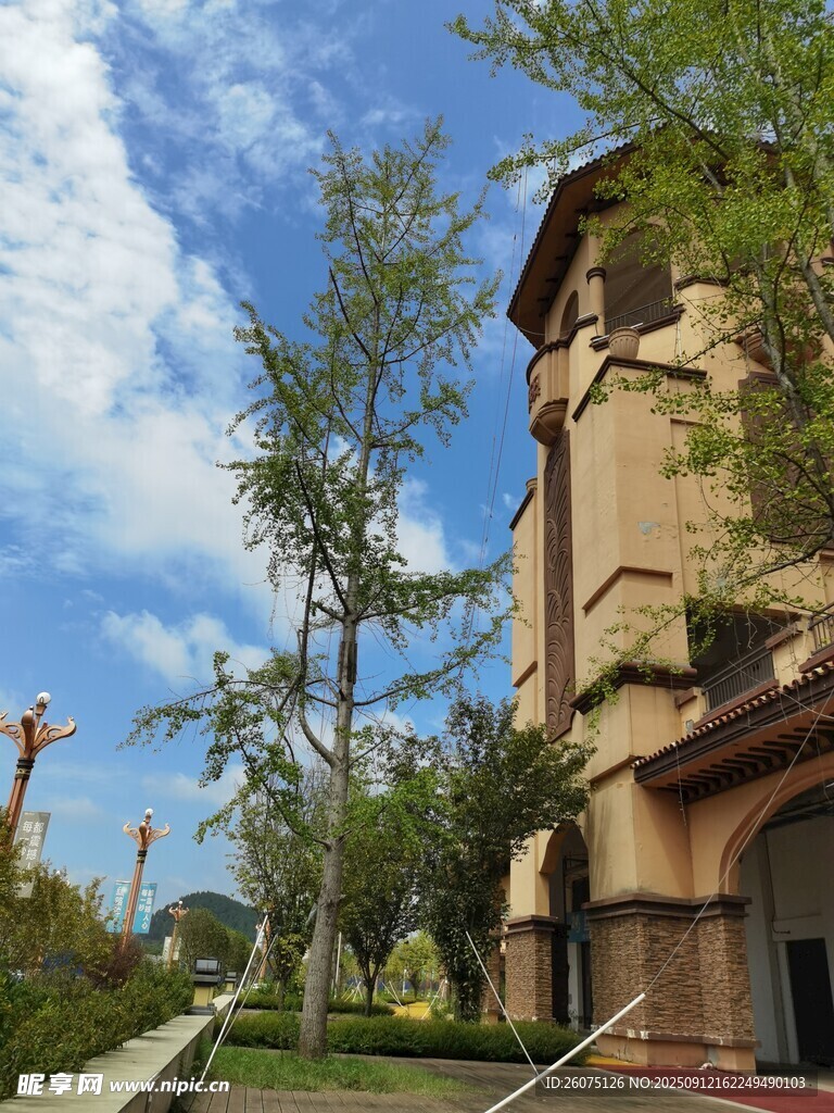 歐式建筑旁的蔥郁綠樹