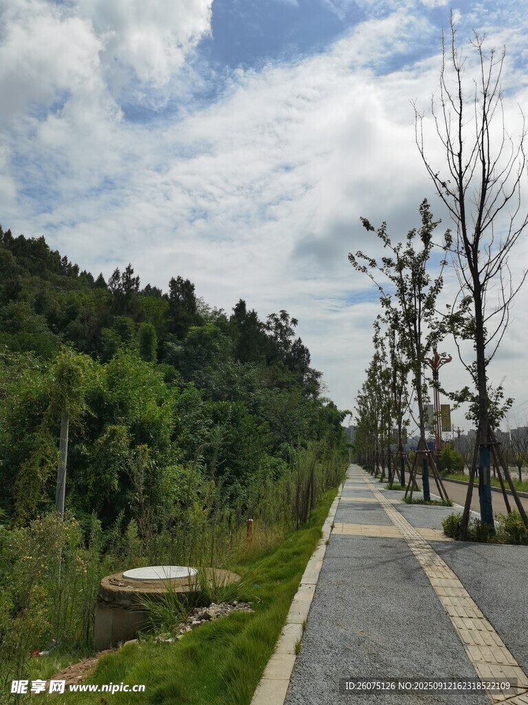 林間步道暢享自然之美