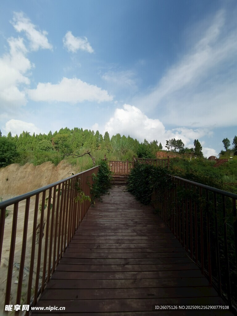 漫步木棧道賞自然美景