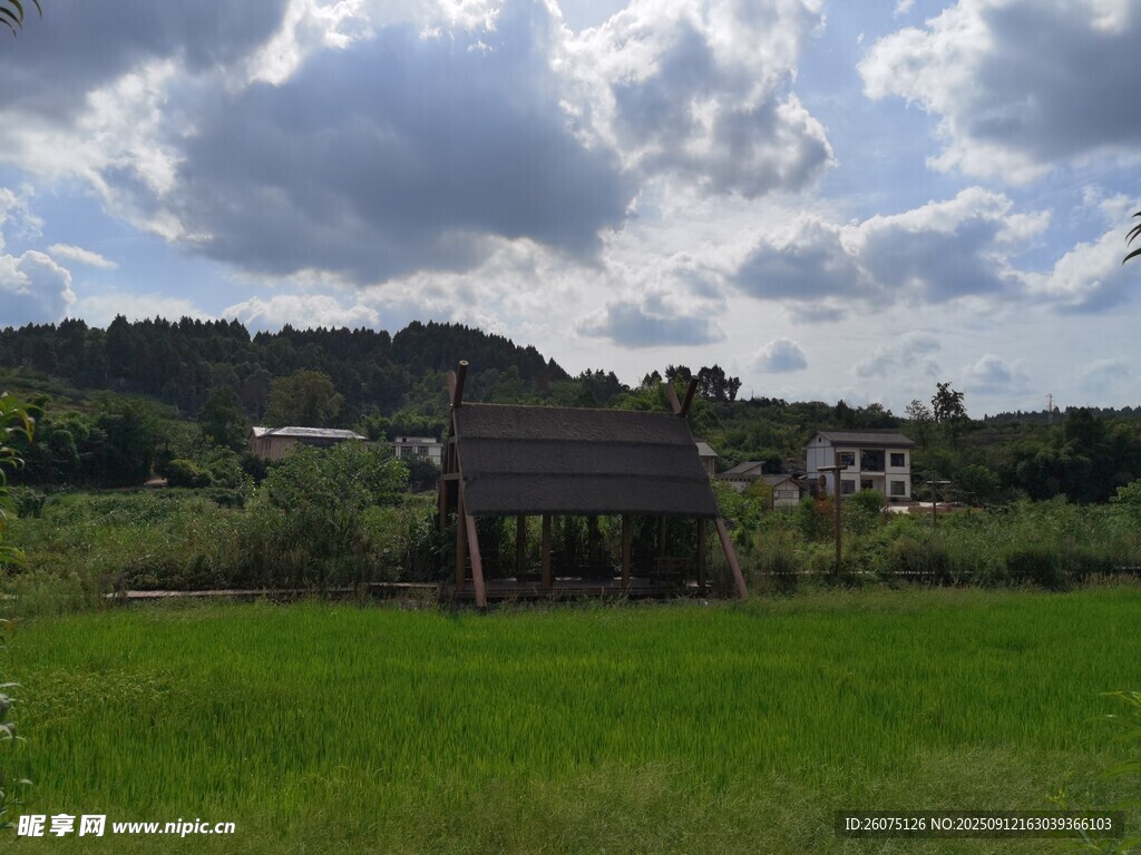鄉(xiāng)村綠野中的古樸小屋