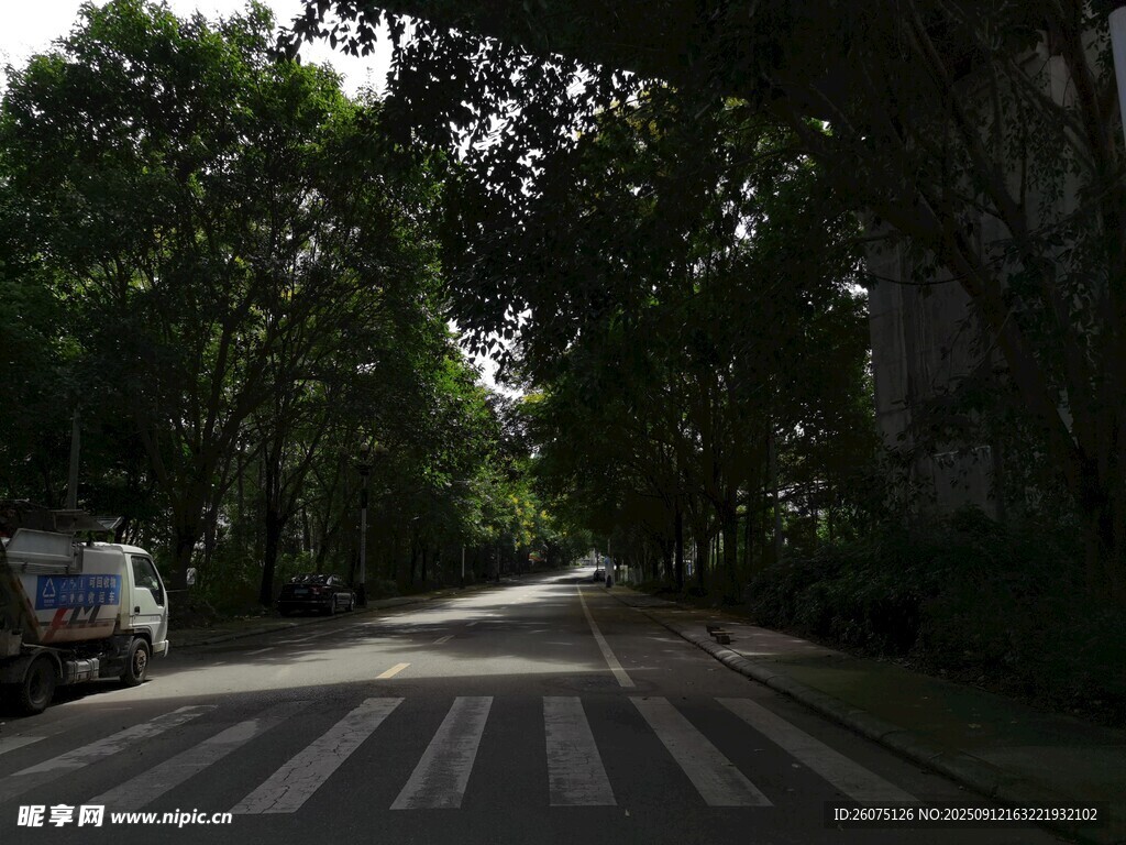 林蔭下的靜謐街道