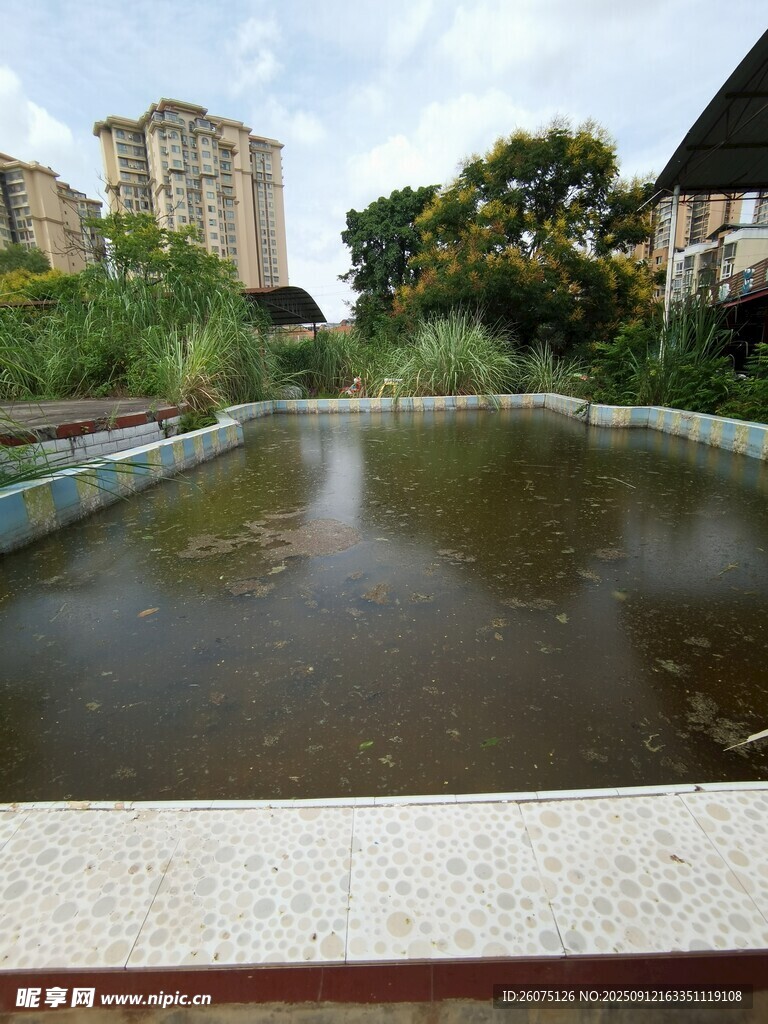 城市中的靜謐池塘景觀