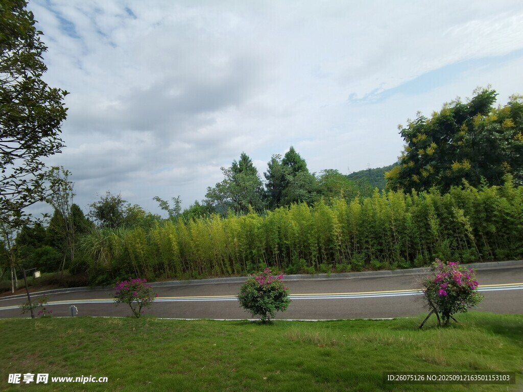 鄉(xiāng)村綠意盎然的道路景觀