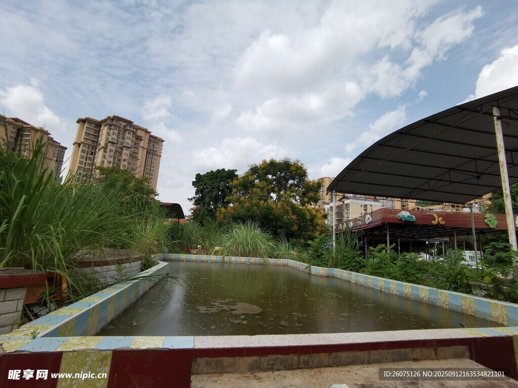 城市中的綠植水池景觀